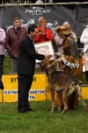 Festiwal Charta 12